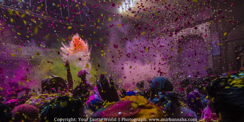 Banke Bihari Temple Holi