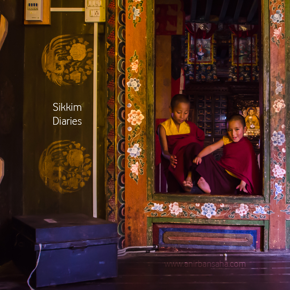 saga dawa, children, monk, monastery