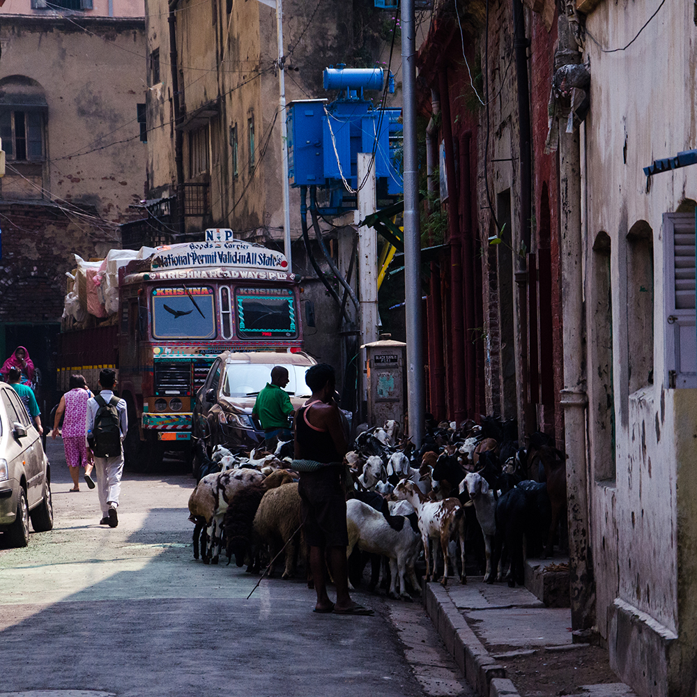 Kolkata street photography