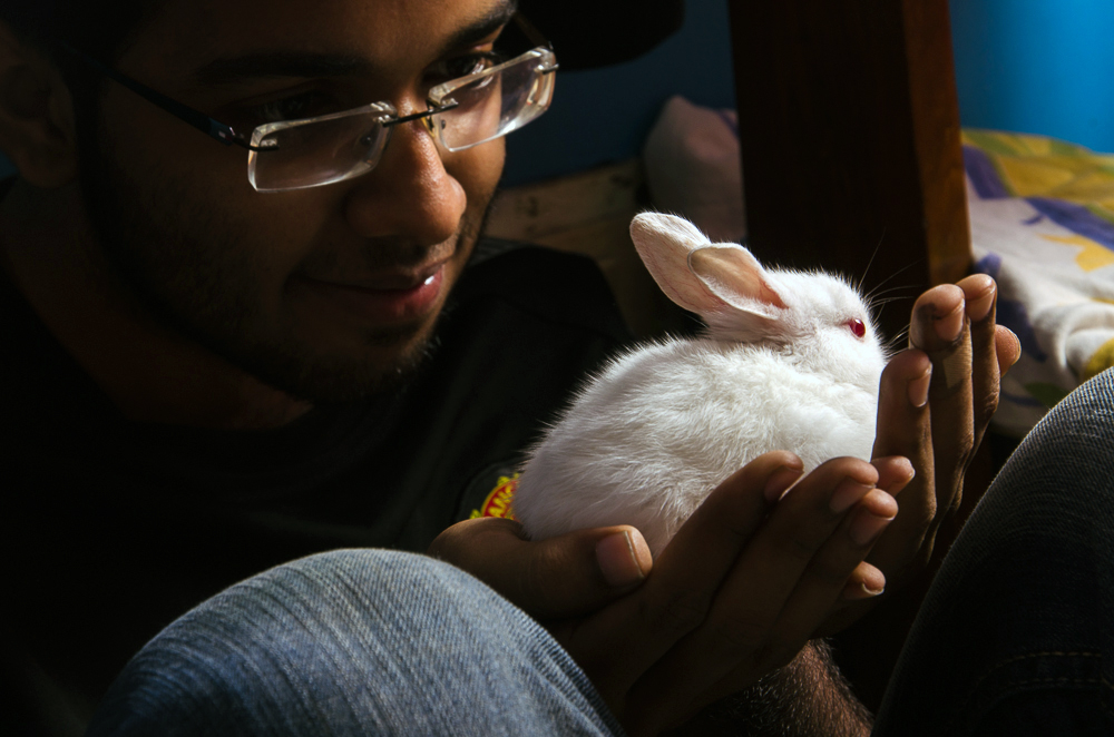 Arjyak Bhattacharya Rabbit