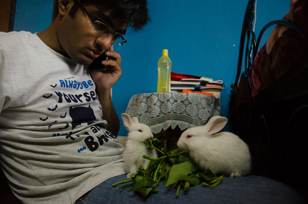 rabbit pet kolkata