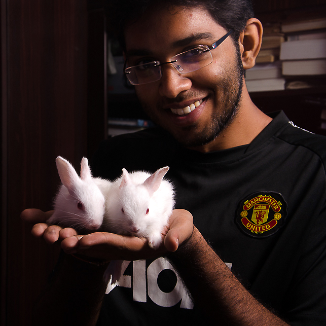 Rabbit pet Kolkata