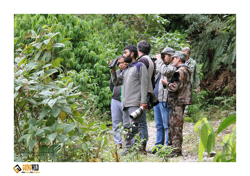 Dibyendu Ash, Birding Trek, Blogging workshop