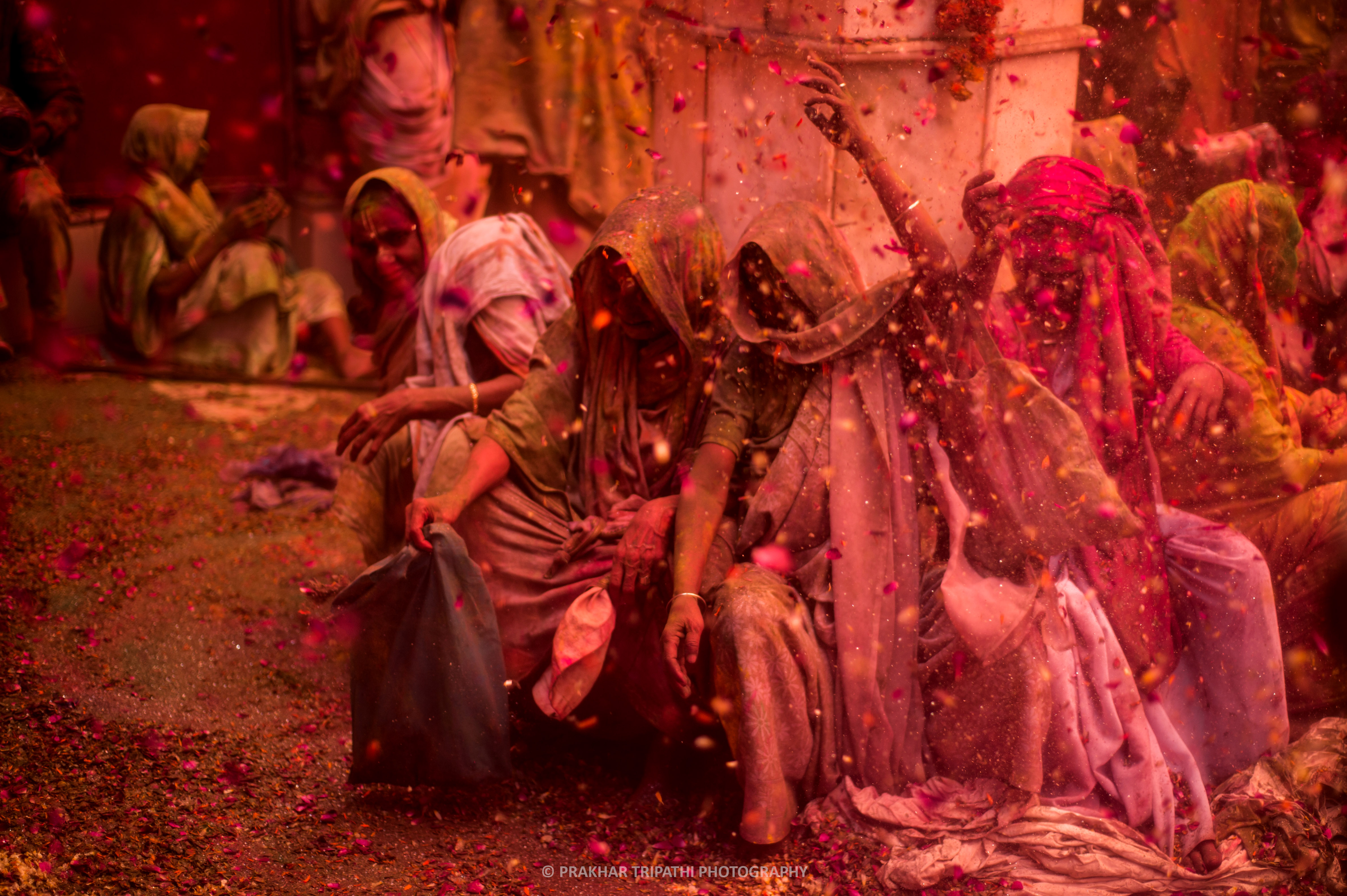 Prakhar Tripathi, Widows Holi