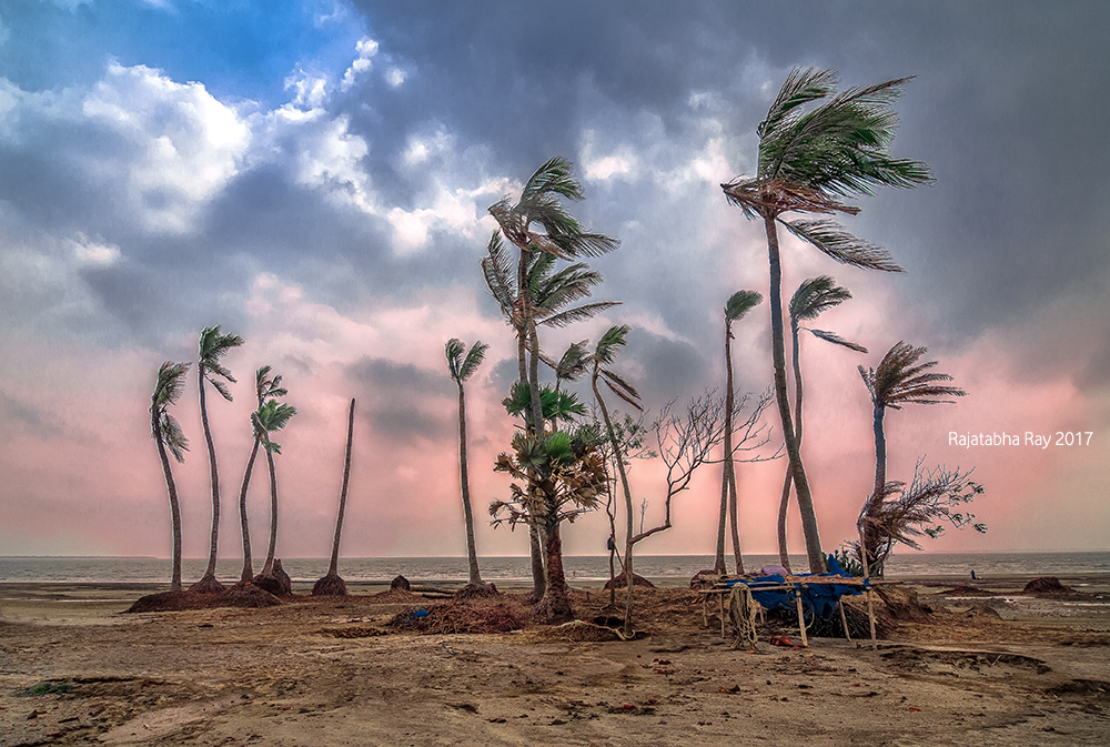 mousuni islands, rajatabha ray