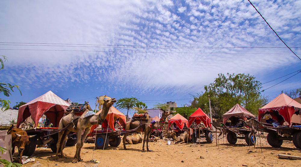 Pushkar ropeways