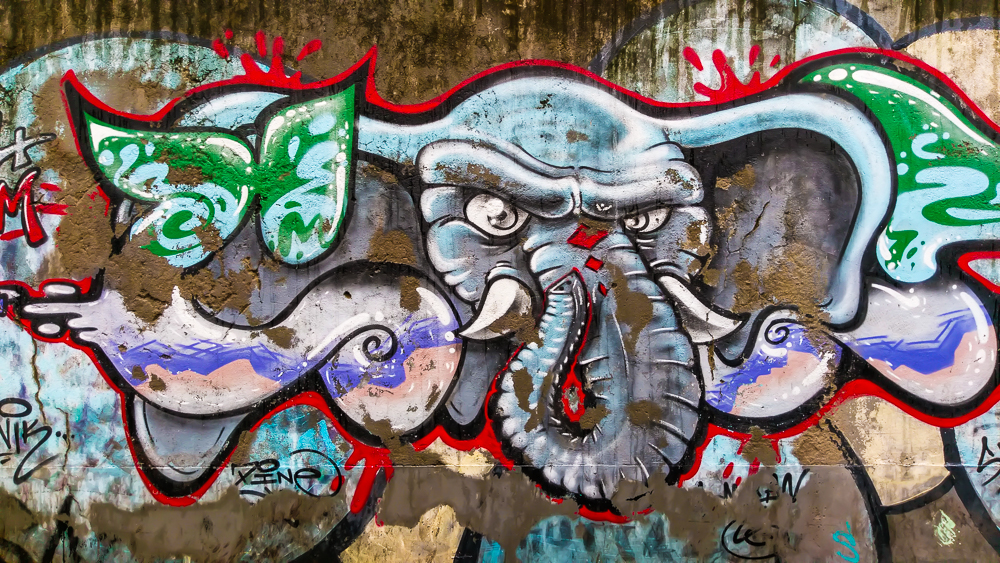 Kolkata Street Art, Kolkata Street Art festival, Kyd Street, Kolkata Graffiti, Kolkata kyd street graffiti