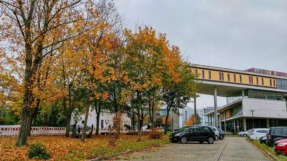 autumn in magdeburg