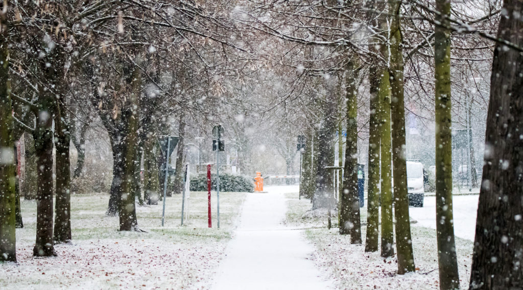 snow in magdeburg