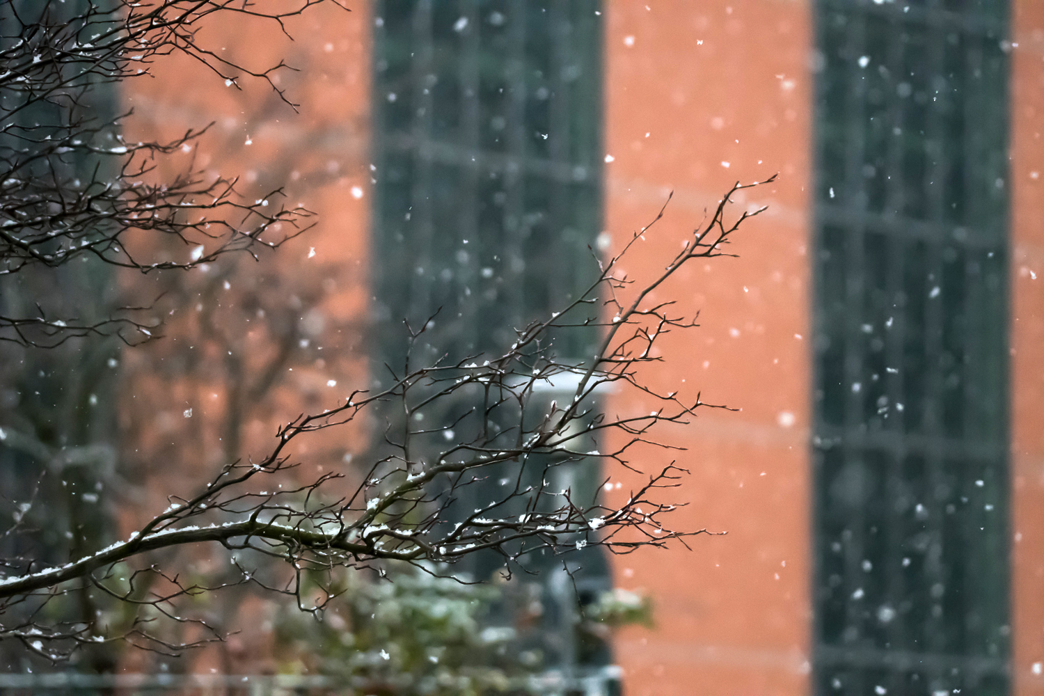 snow in magdeburg