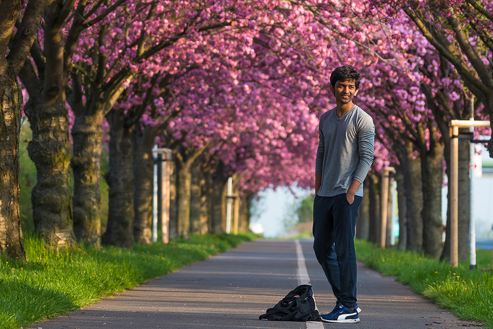 Vinay Kumar Yamalapalli, Holzweg, Magdeburg Cherry Blossoms