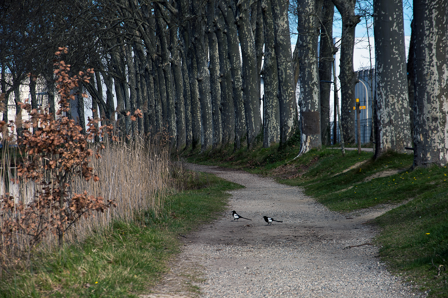 canal du midi