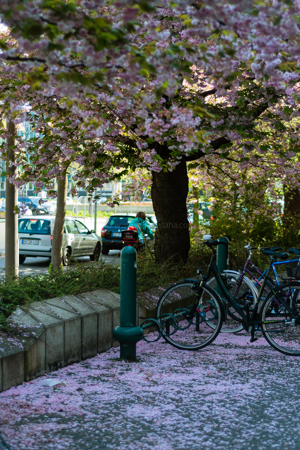 spring, magdeburg