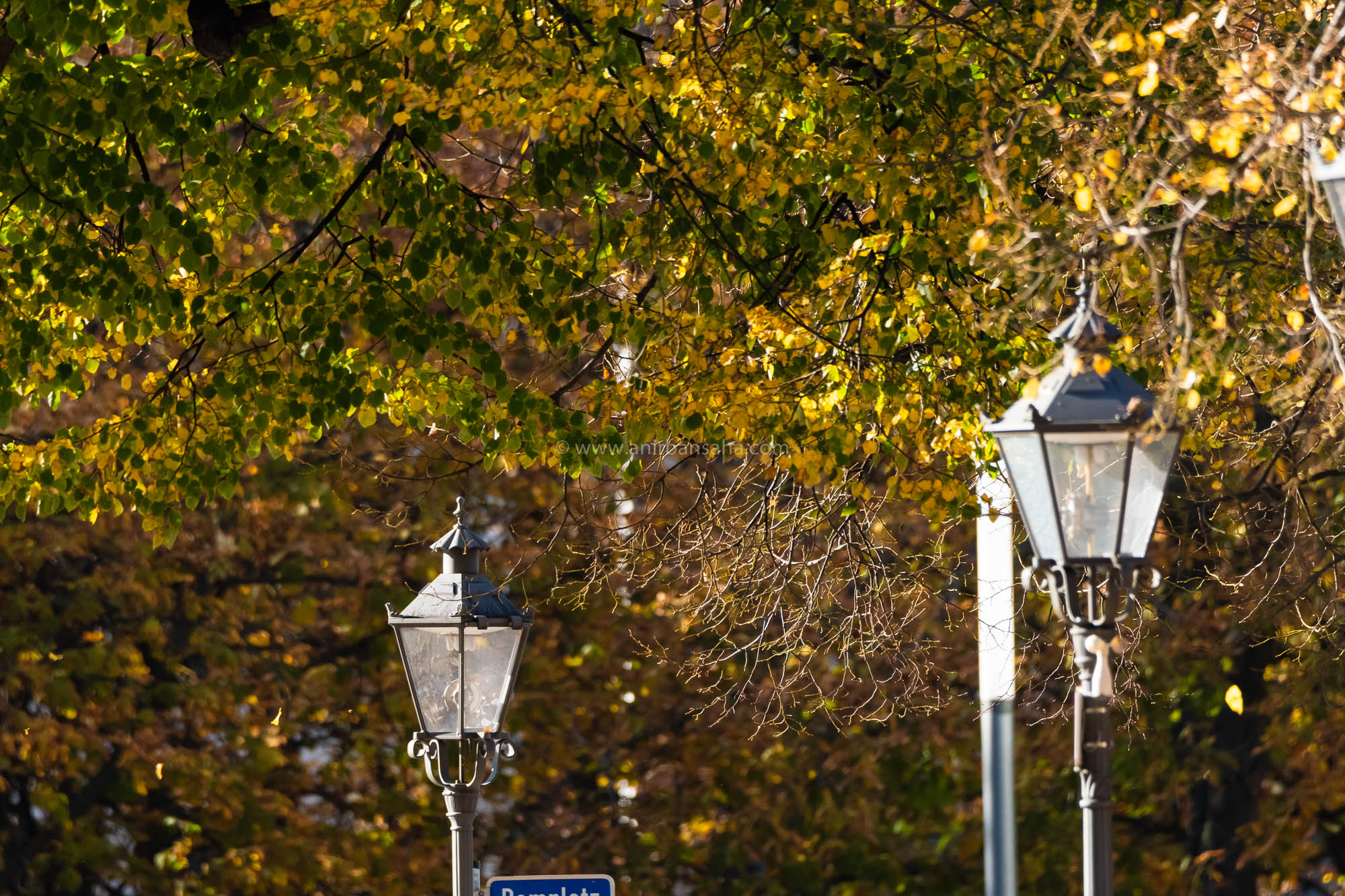 autumn in magdeburg