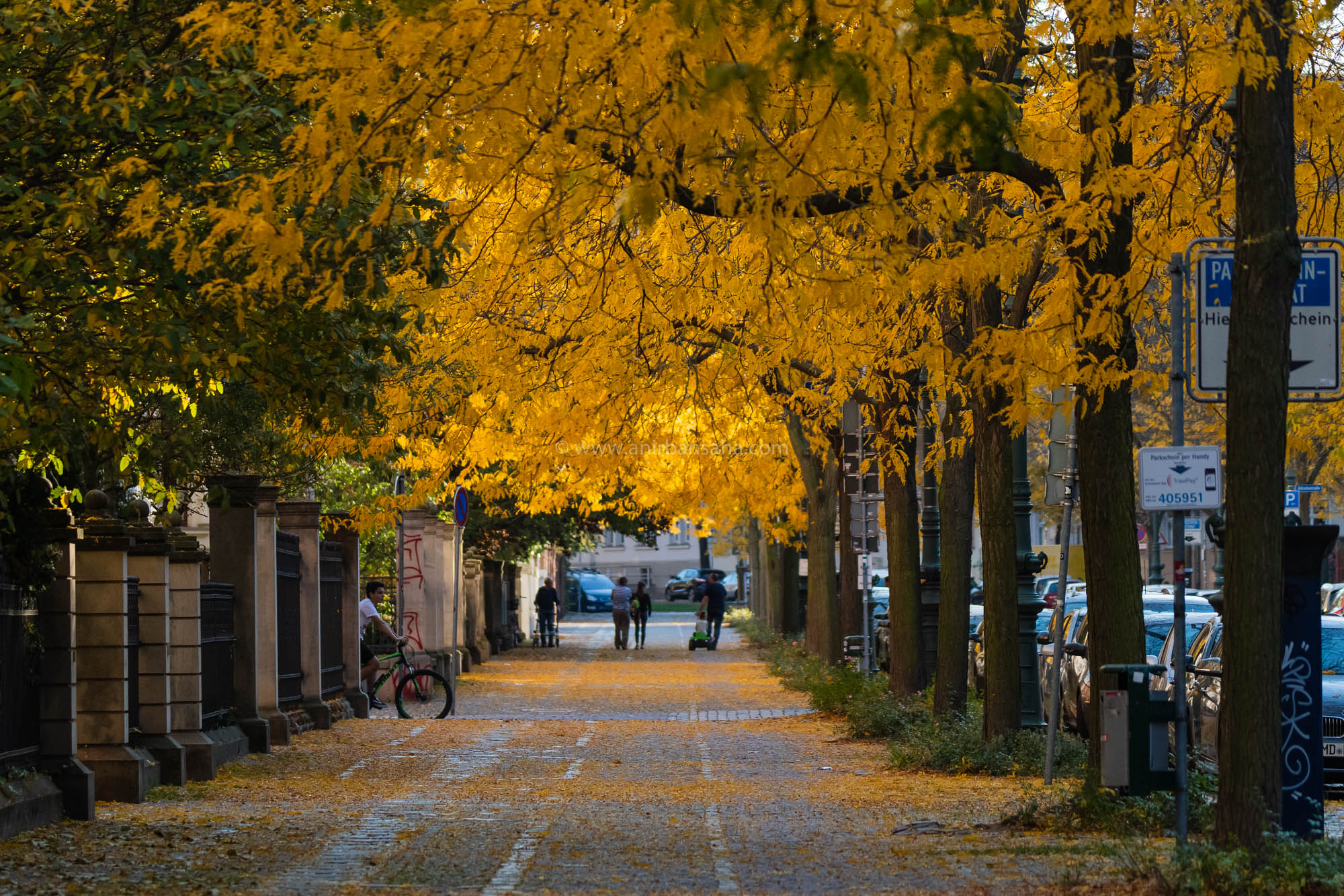 autumn in magdeburg