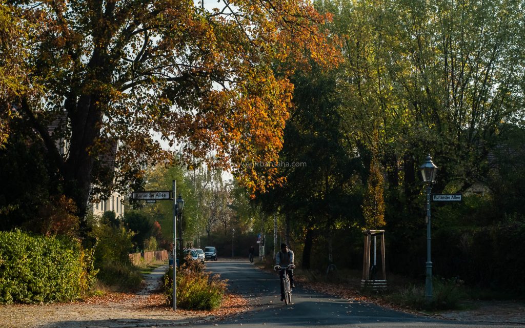 autumn in Magdeburg