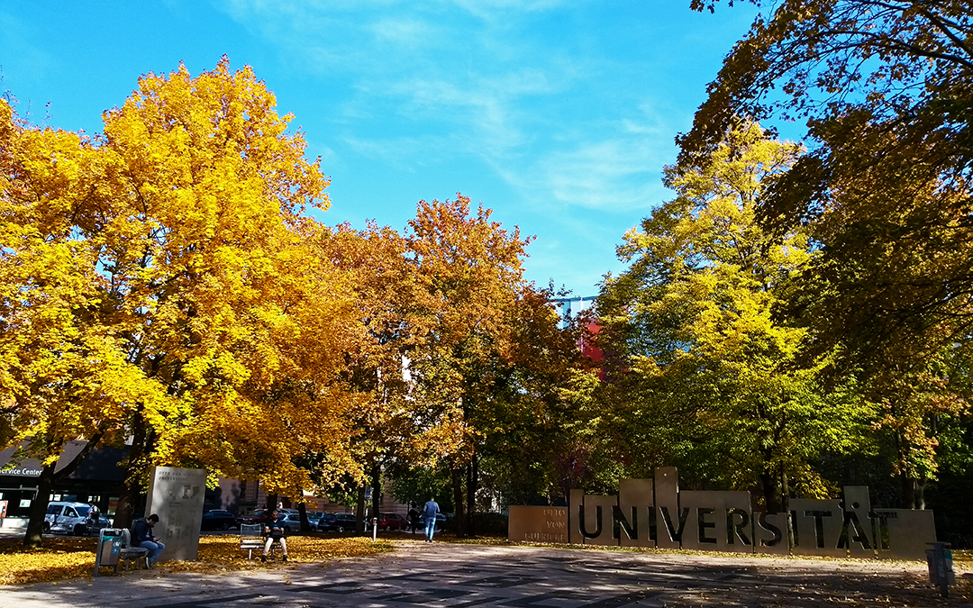 ovgu, otto-von-guericke university, autumn in magdeburg