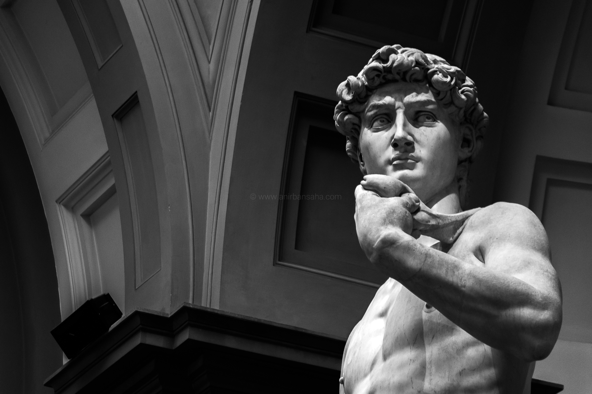 David By Michelangelo Hand