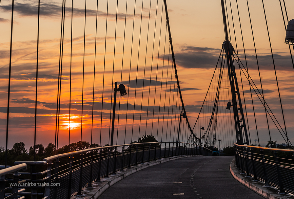 Magdeburg: Herrenkrug bridge at sun set.