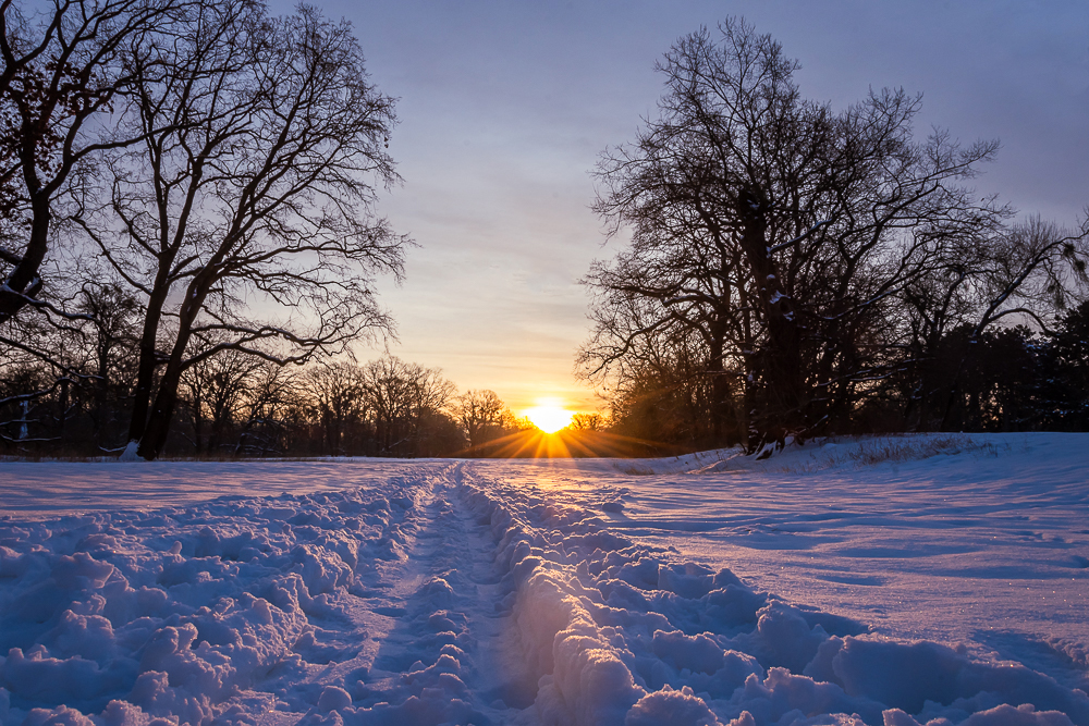 snow in magdeburg