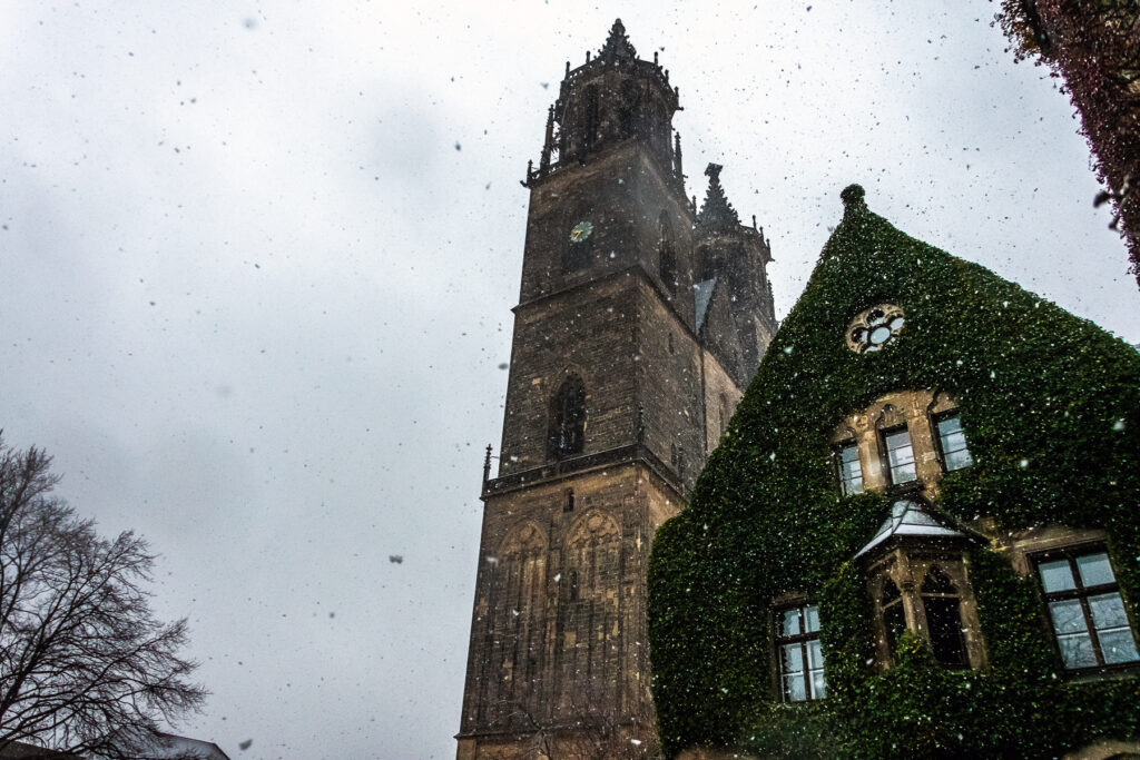 magdeburg dom in snow