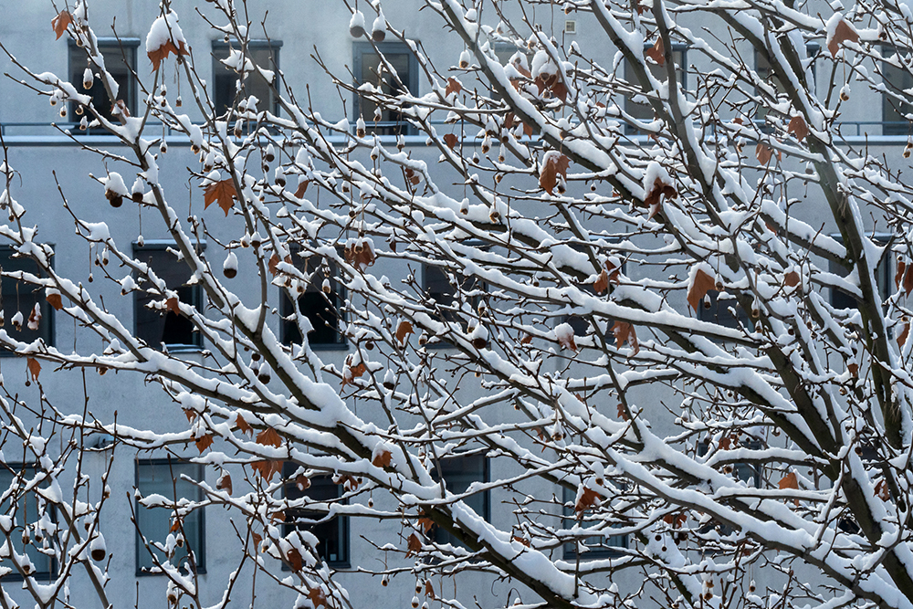 snow in magdeburg