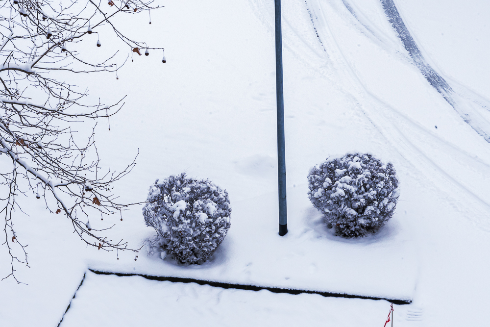 snow in magdeburg