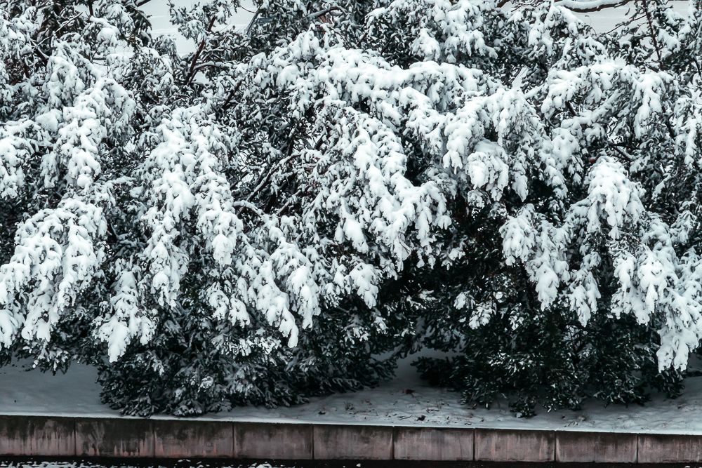 snow in magdeburg