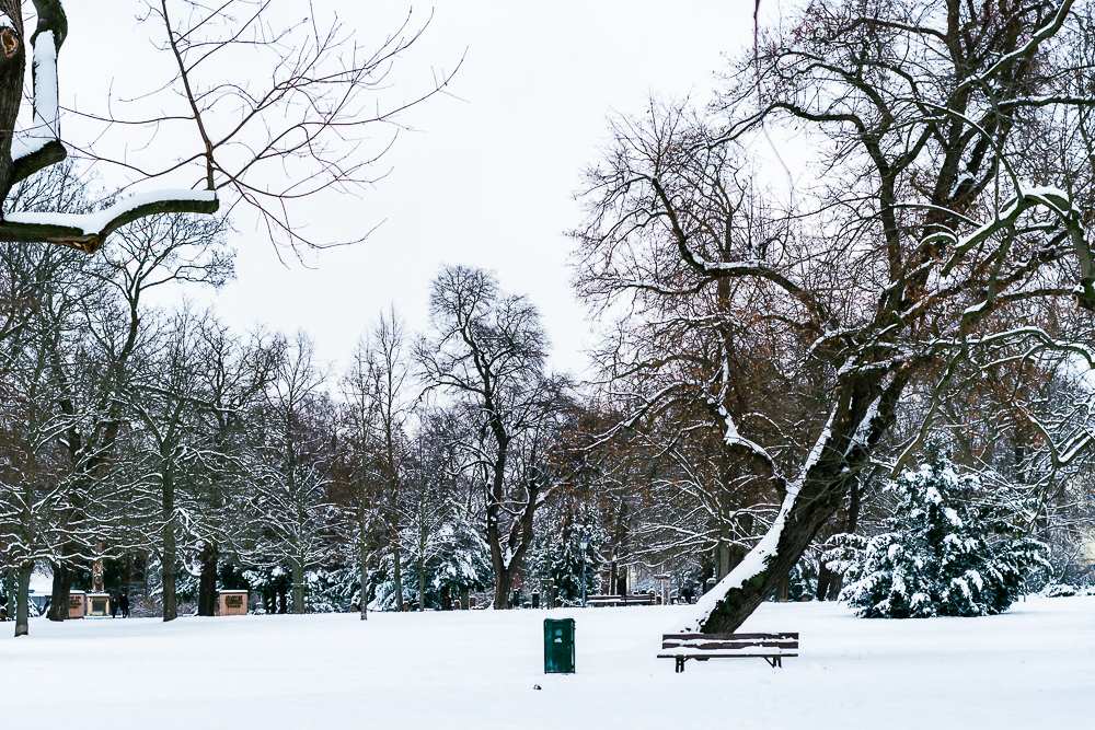 snow in magdeburg