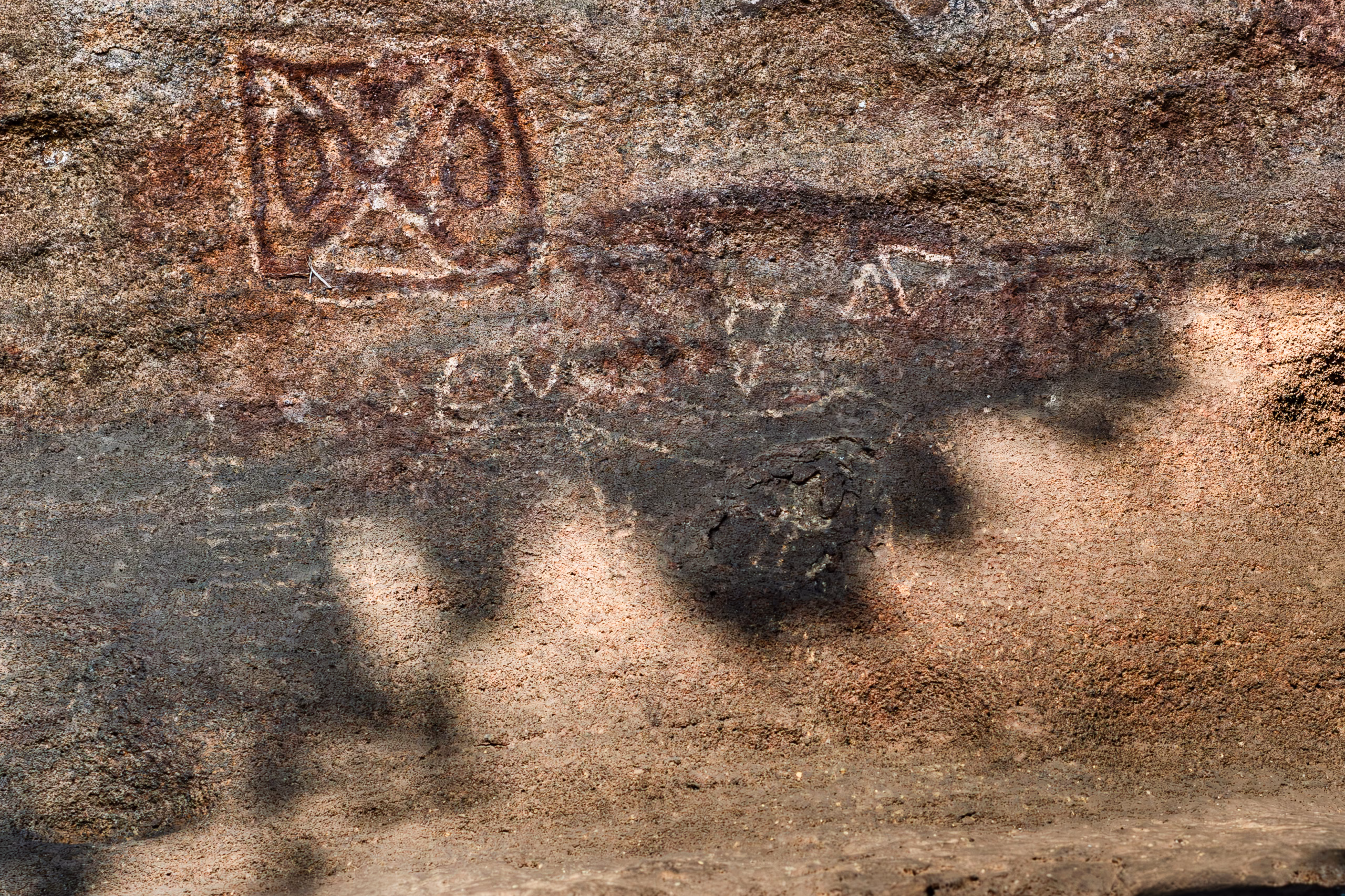 isko cave paintings of one horned rhinoceros