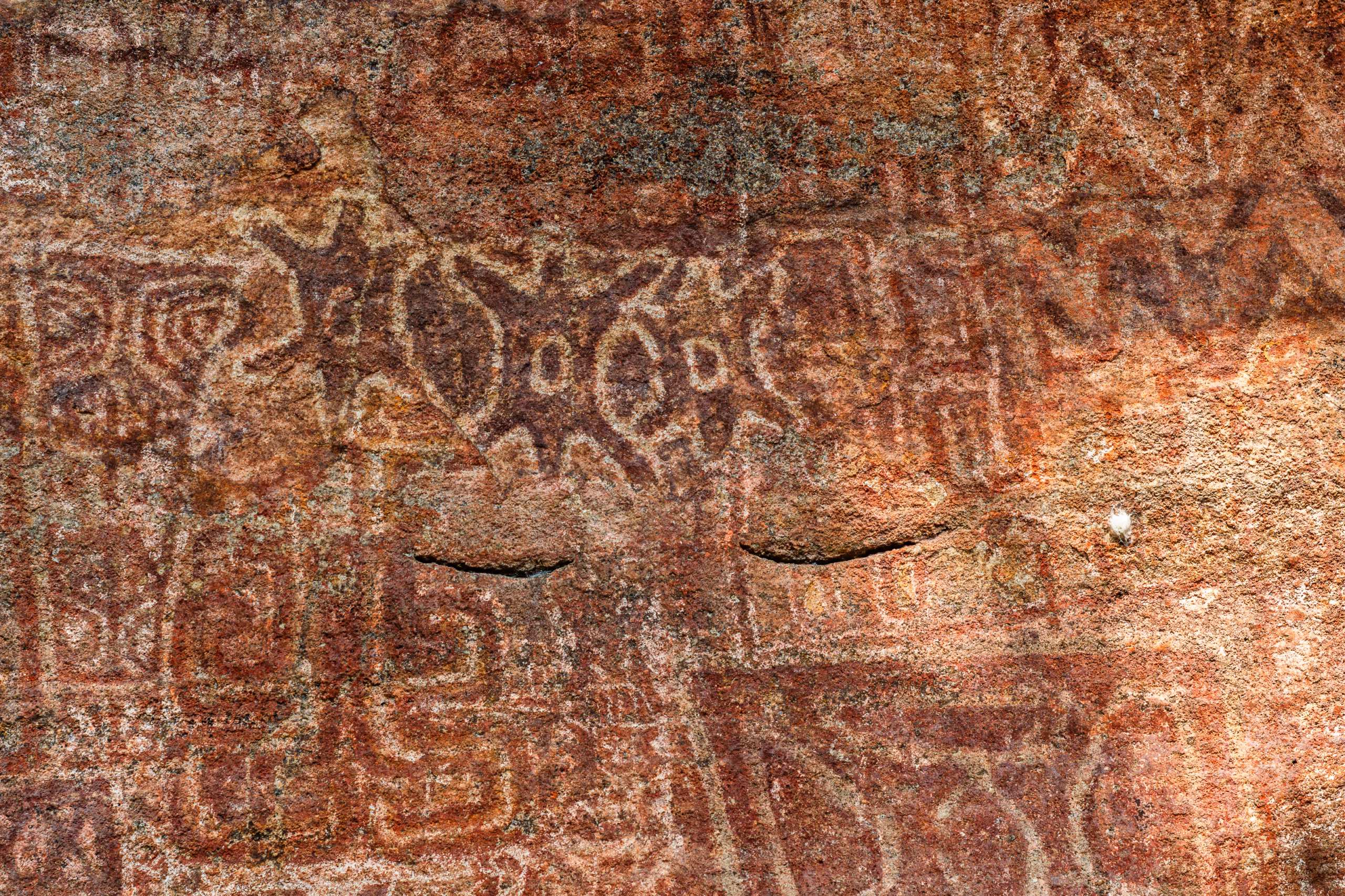 isko cave paintings of assam roofed turtles
